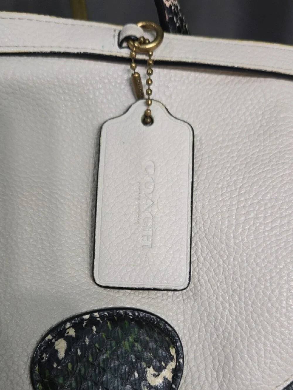 Coach Gray and Cream Leather Drawstring Backpack with Snakeskin Trim - Picture 4 of 14